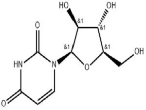 Uridine structure diagram.jpg Uridine structure diagram.jpg