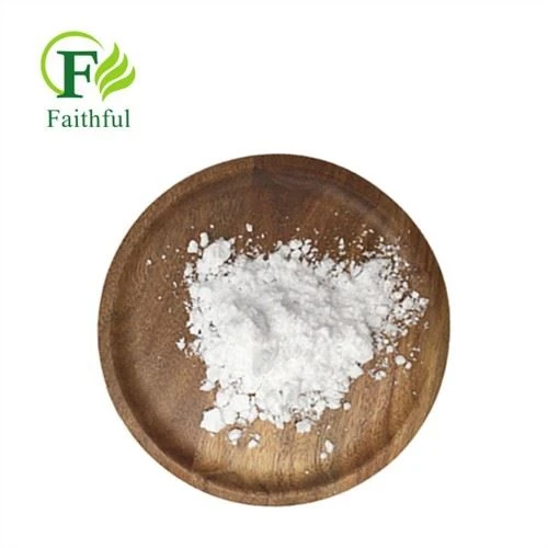 Piracetam Hmoov Cas 7491-74-9