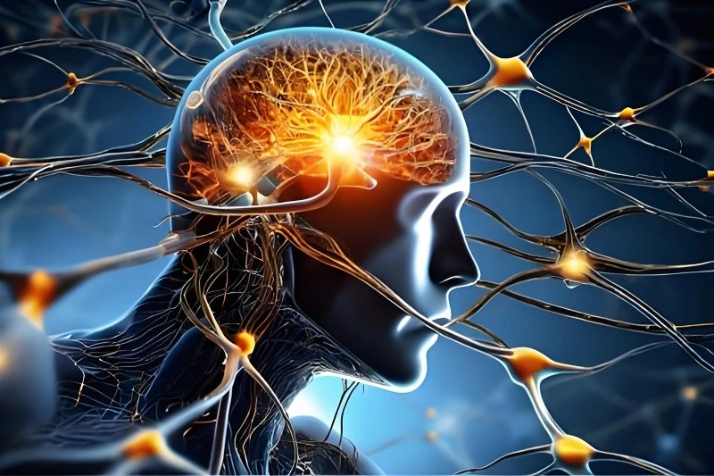 neuroprotection and Coluracetam neuroprotection and Coluracetam